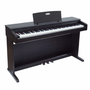 Pearl River  Digital Piano - Black