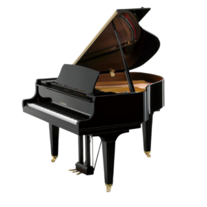 Kawai GL 20