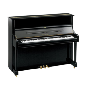 Yamaha P1 (Pre-owned)