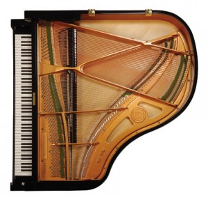 C. Bechstein B160( Pre-owned) - Image 4